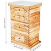 Bee Hive 40 Frame Bee Hives Starter Kit, Beeswax Coated Fir Wood, 2 Deep + 2 Medium Bee Boxes Langstroth Beehive Kit