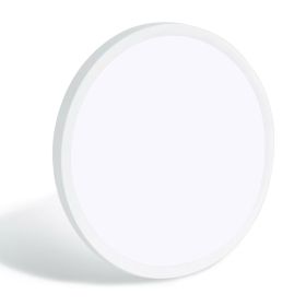 11.8 Inch White Ultra-thin Ceiling Light 6500K LED Flush Mount Ceiling Lamp For Bedroom, Bathroom, Hallway (Option: D11.2 inH2.4 in)