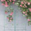 2 Pack Metal Garden Trellis 71" x 19.7" Rustproof Trellis for Climbing Plants Outdoor Flower Support